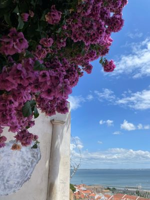 WhatsApp Image 2025-03-03 at 10.13.54 (4)