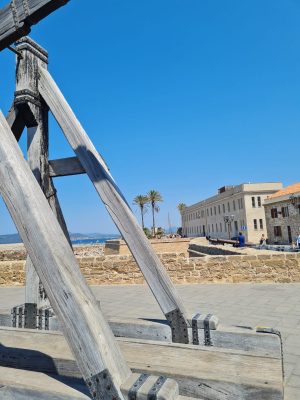 WhatsApp Image 2025-03-04 at 09.58.37