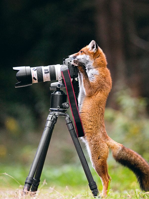 geolino-fotografie-fakten-09-2018-seite-3-jpg--78044-