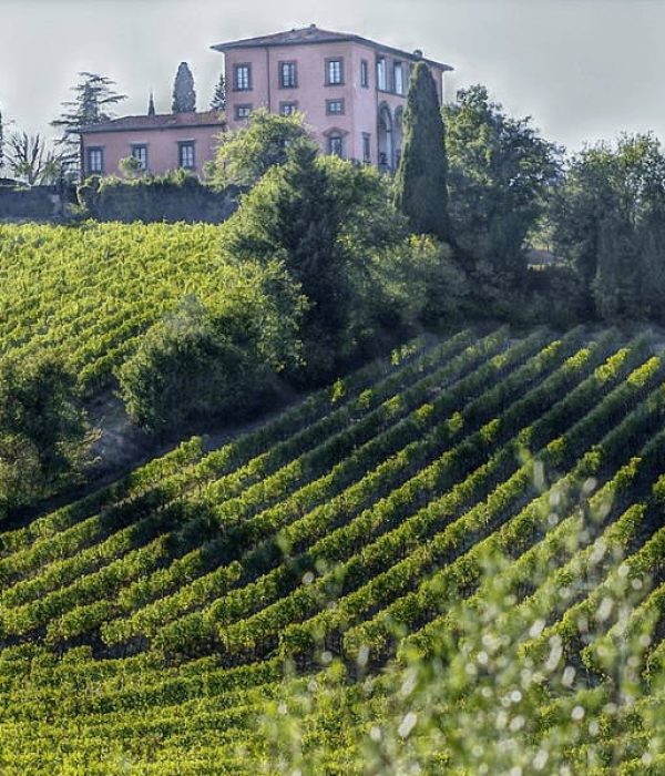 unnamed_c75ea3f4-9a2d-4cd2-8258